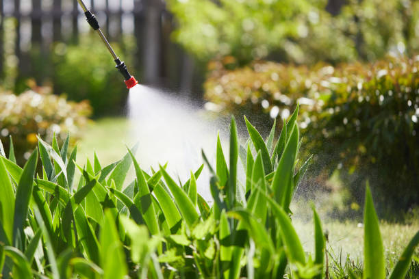 24/7 Emergency Cockroach Control experts in Port O'Connor, TX