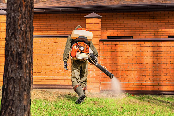 Top rated local Cockroach Control specialists in Port O'Connor, TX